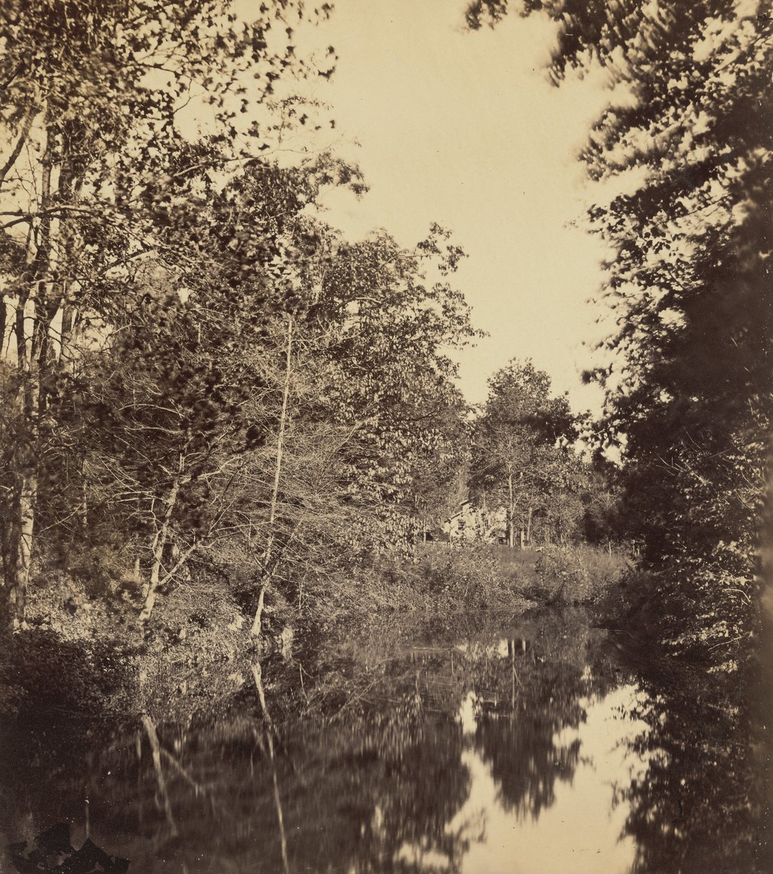 The Dell,1863 (foto) av George Rockwood Gardner