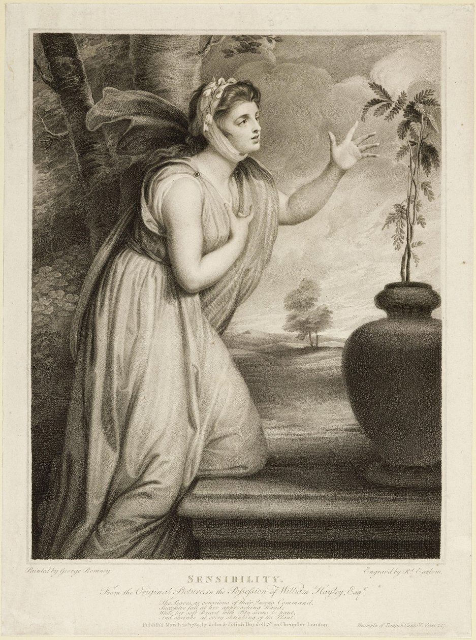 Känslighet av George Romney