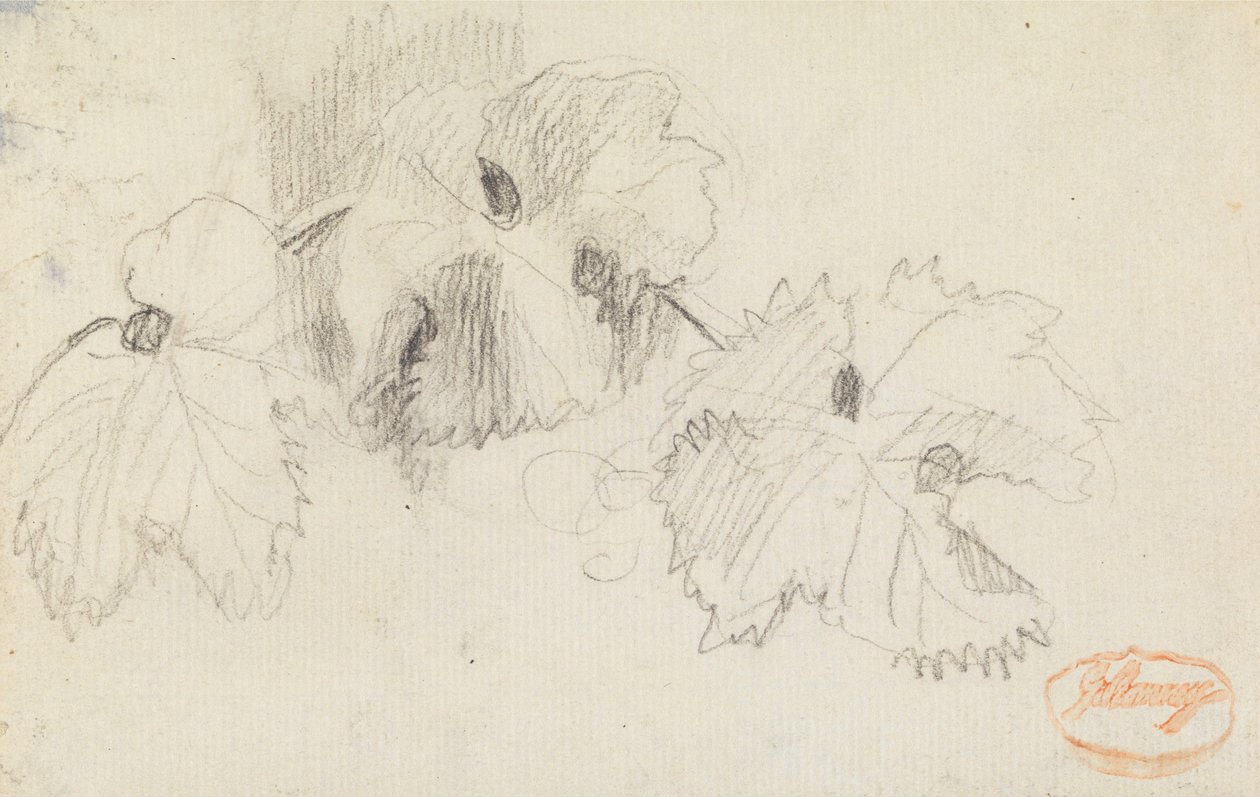 Studie av löv 1 av George Romney