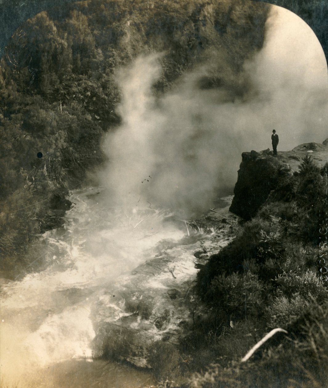 Champagnekanna, Wairakei, Nya Zeeland, c1909. av George Rose