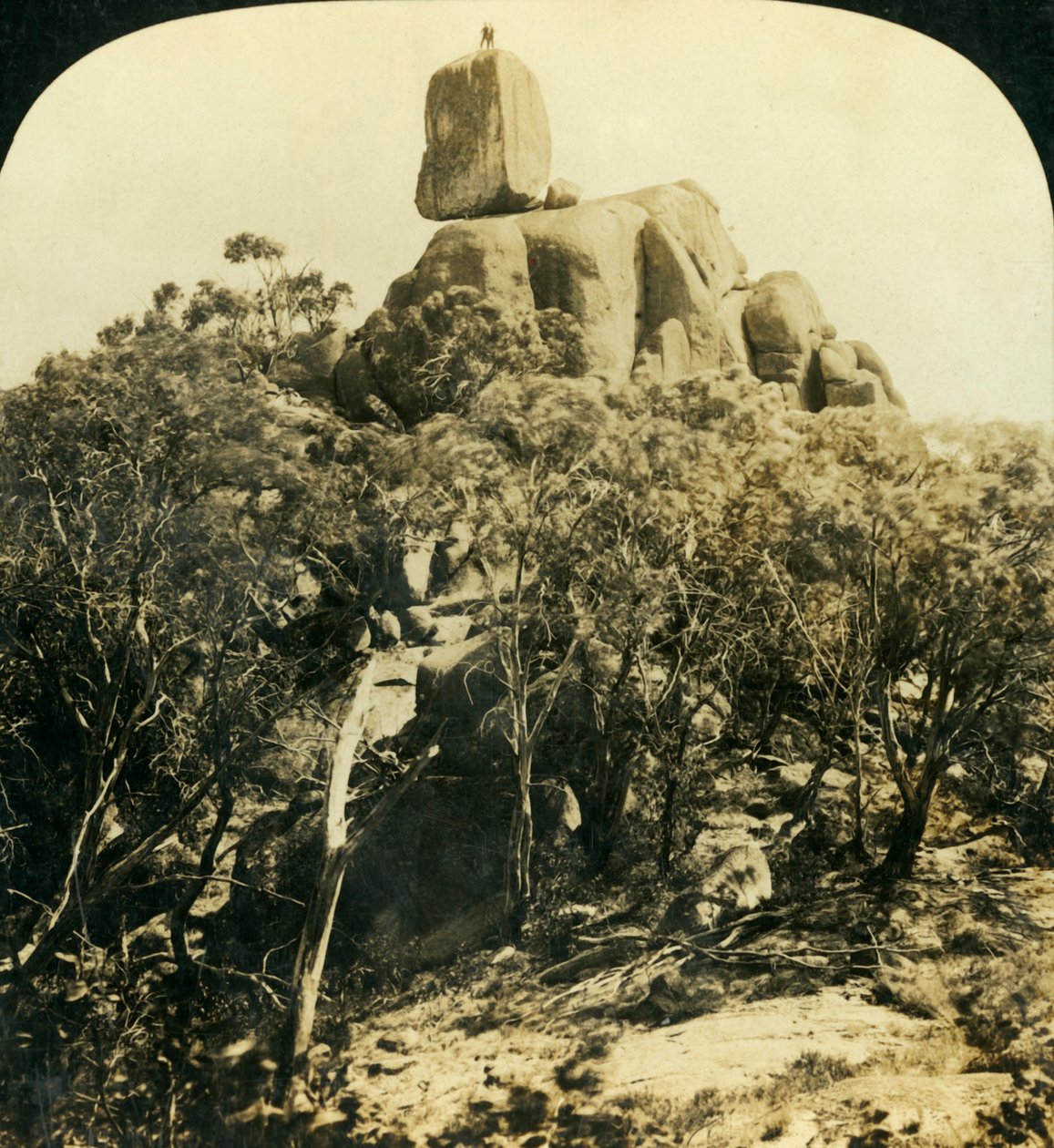 The Look-Out Rock, Buffalo Ranges, Victoria, Australien, c1909. av George Rose