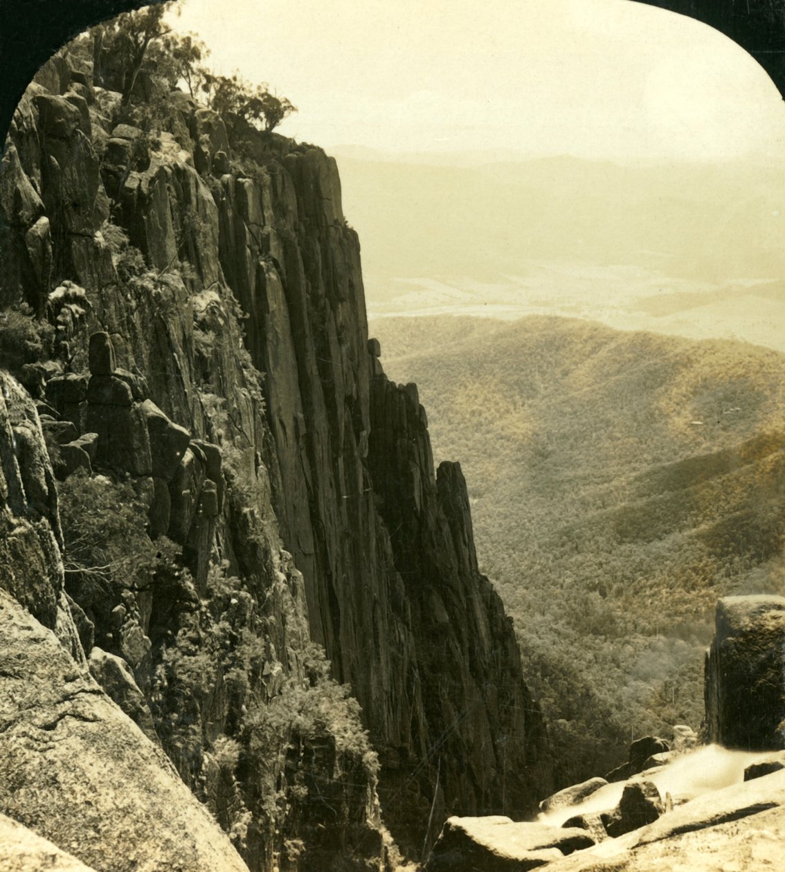 The North Side of the Gorge, Buffalo Ranges, Victoria, Australien, c1909. av George Rose
