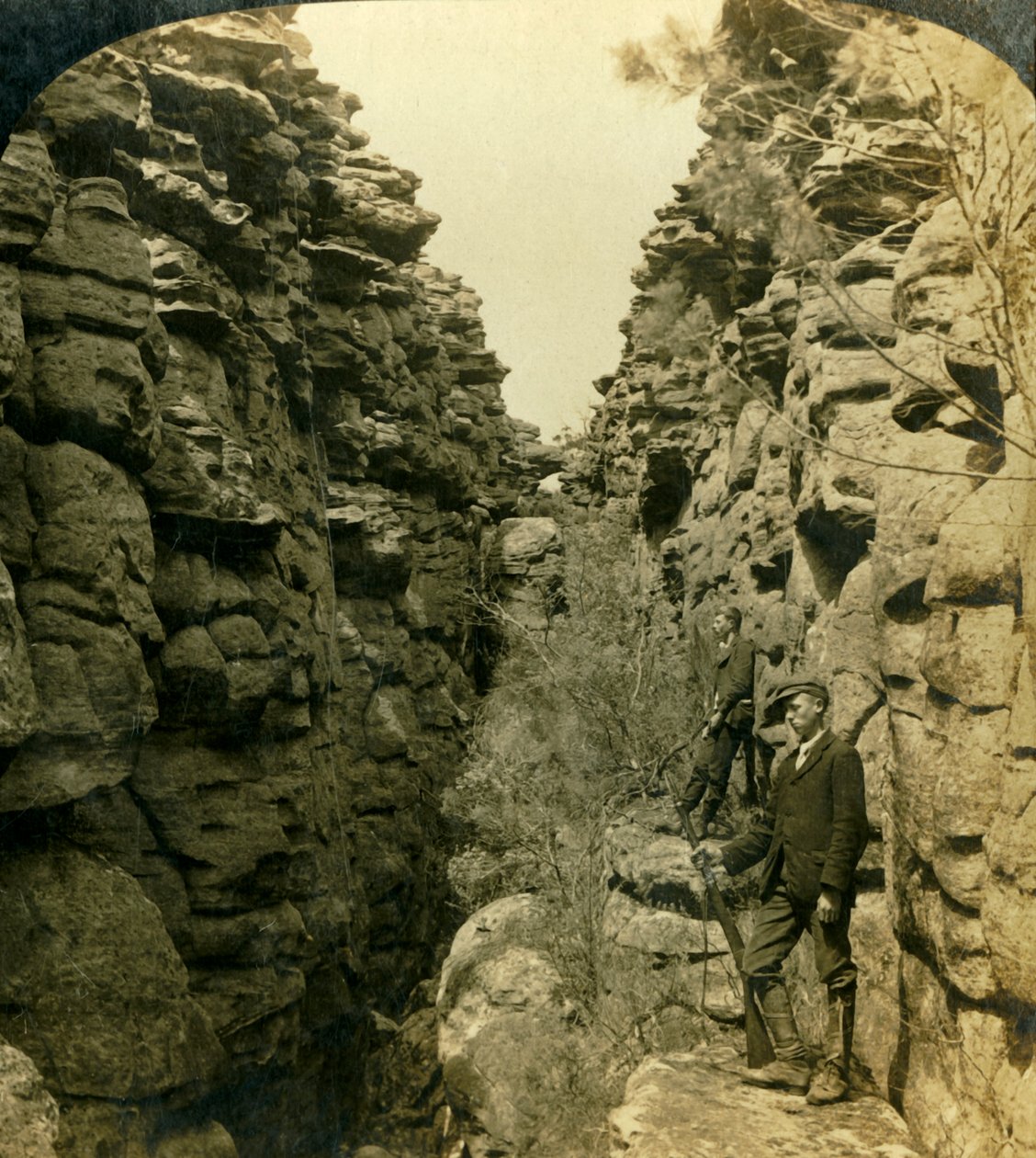 Wonderland Avenue, eller Silent Street, Grampians, Victoria, Australien, 1908. av George Rose