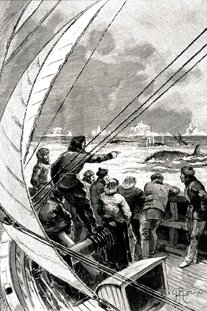 Till sjöss mot polen: besättningen på ett fartyg (segelbåt) ser en grupp valar. Illustration av romanen av Jules Verne (1828-1905) "" Issfinxen "" av George Roux