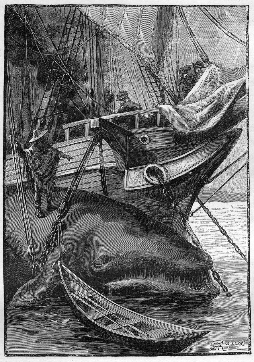 Jules Vernes roman "Les histoires de Jean-Marie Cabidoulin" (1901), Hetzel Collection/Extraordiaires, illustration av George Roux. "Val förtöjd vid valfångstfartyg" av George Roux
