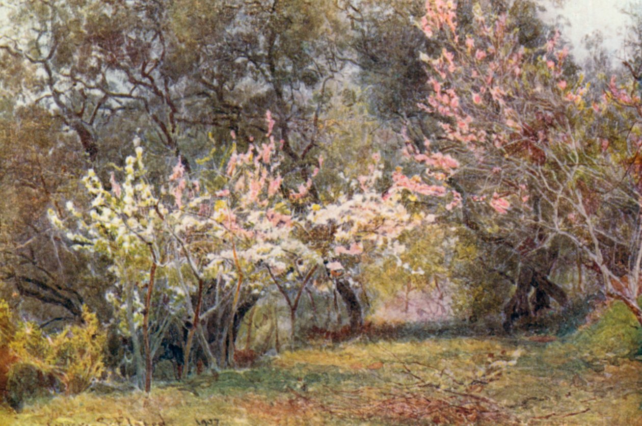  av George Samuel Elgood