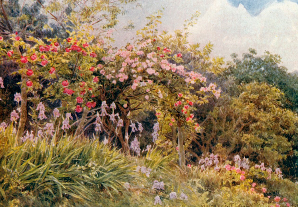 Rosor och iris (färglitografi) av George Samuel Elgood