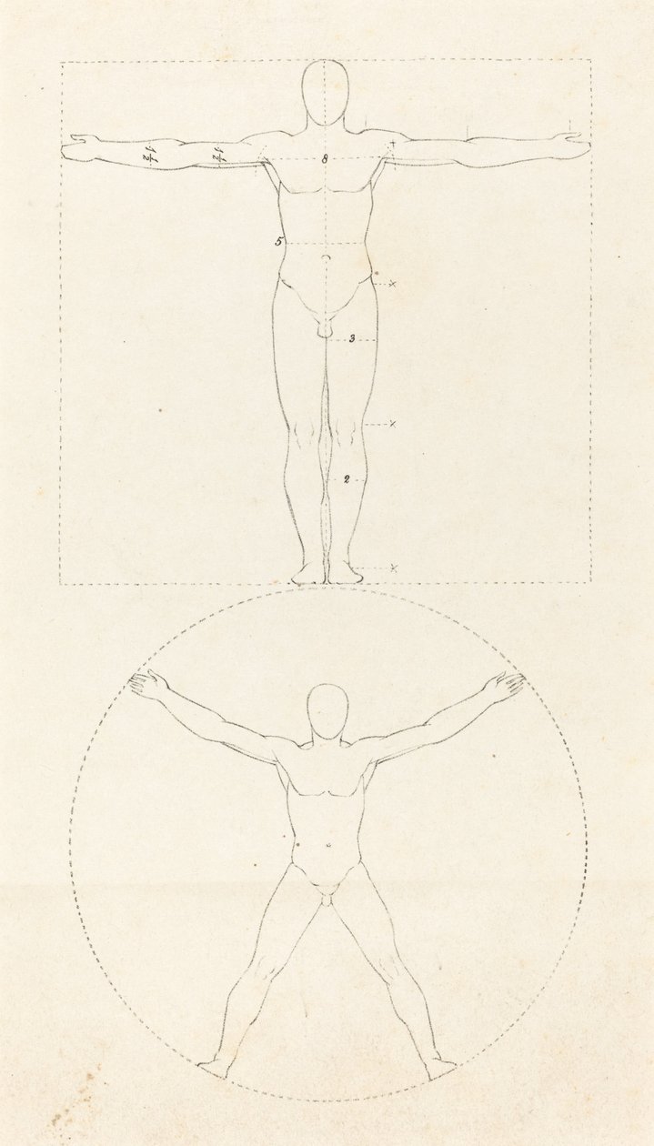 Cirkel och kvadrat av den mänskliga figuren av George Scharf after John Flaxman