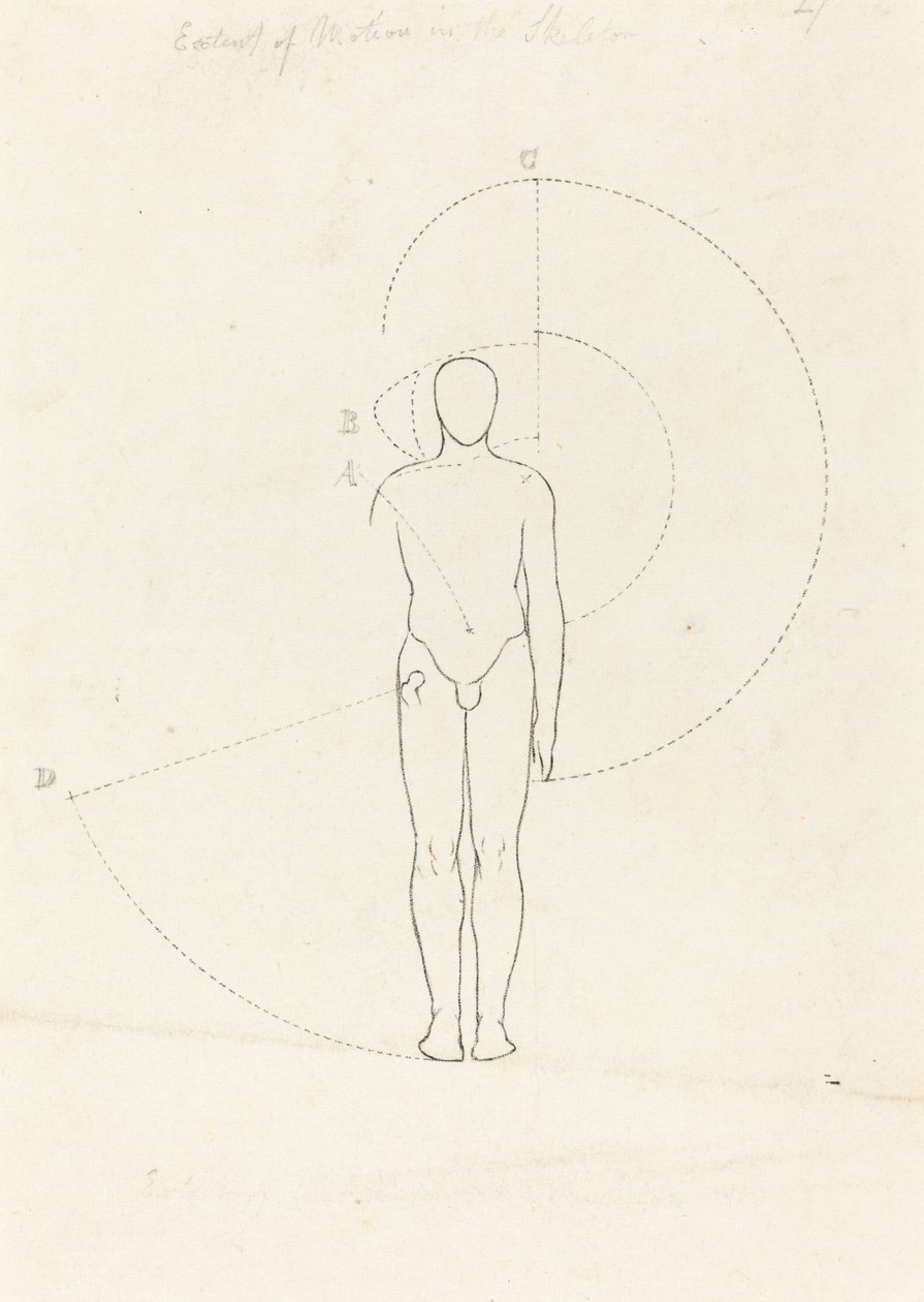 Rörelsens omfattning, en figur av George Scharf after John Flaxman