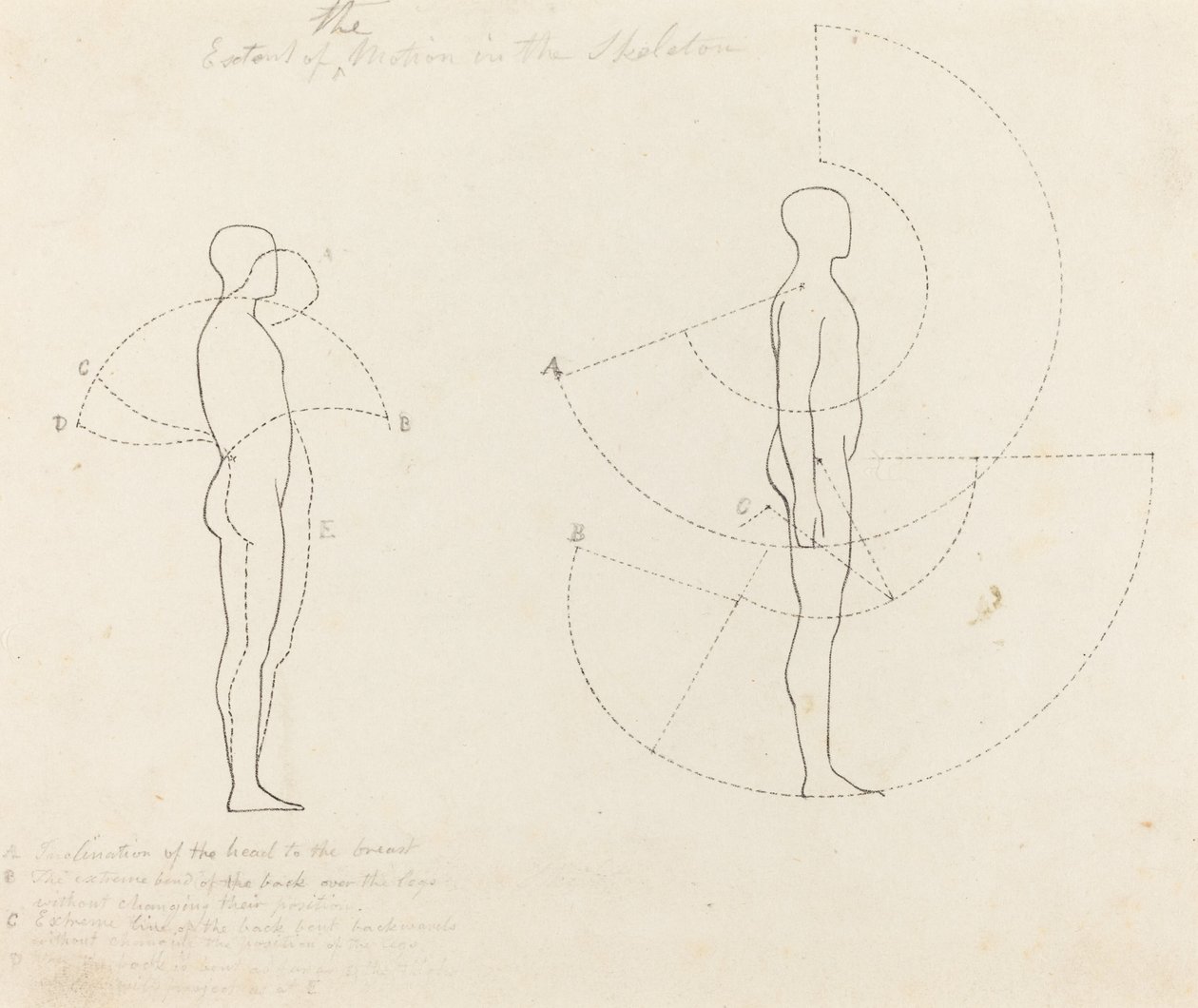 Rörelsens omfattning visas i två figurer av George Scharf after John Flaxman