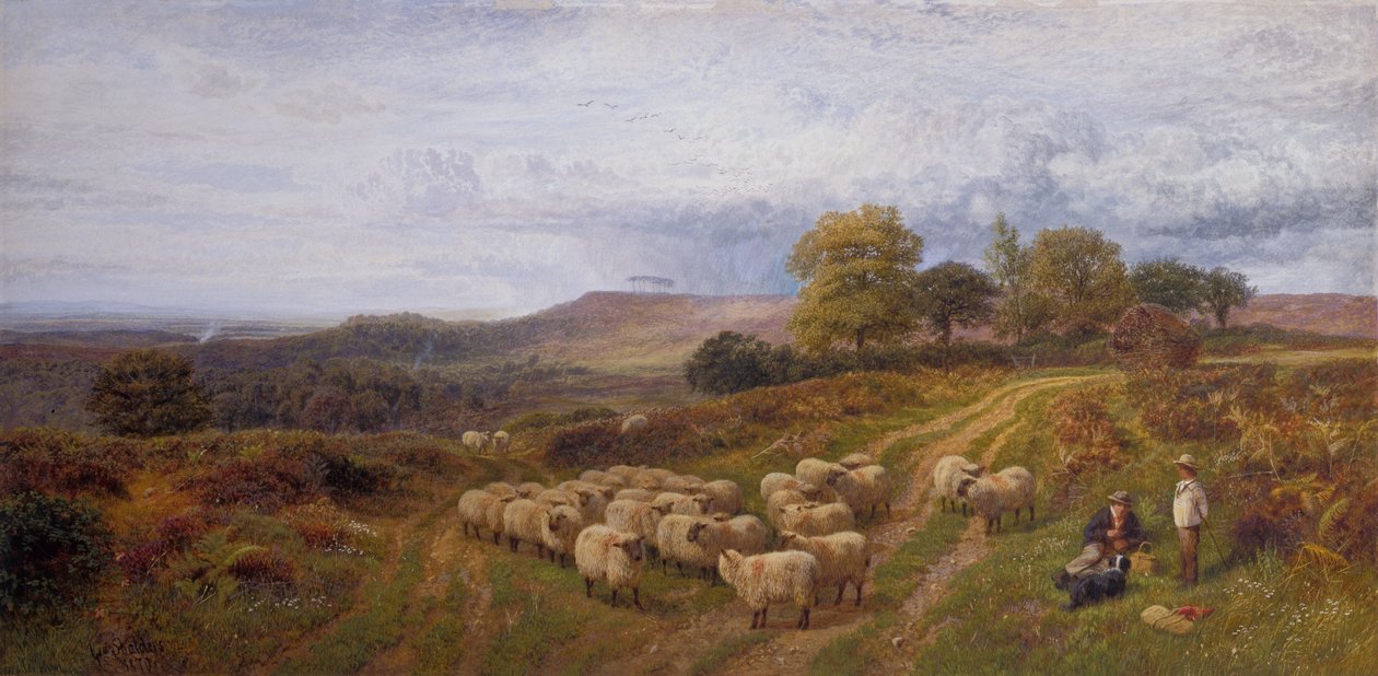 Vidsträckt landskap med en herde och hans fårflock, Surrey (olja på duk) av George Shalders