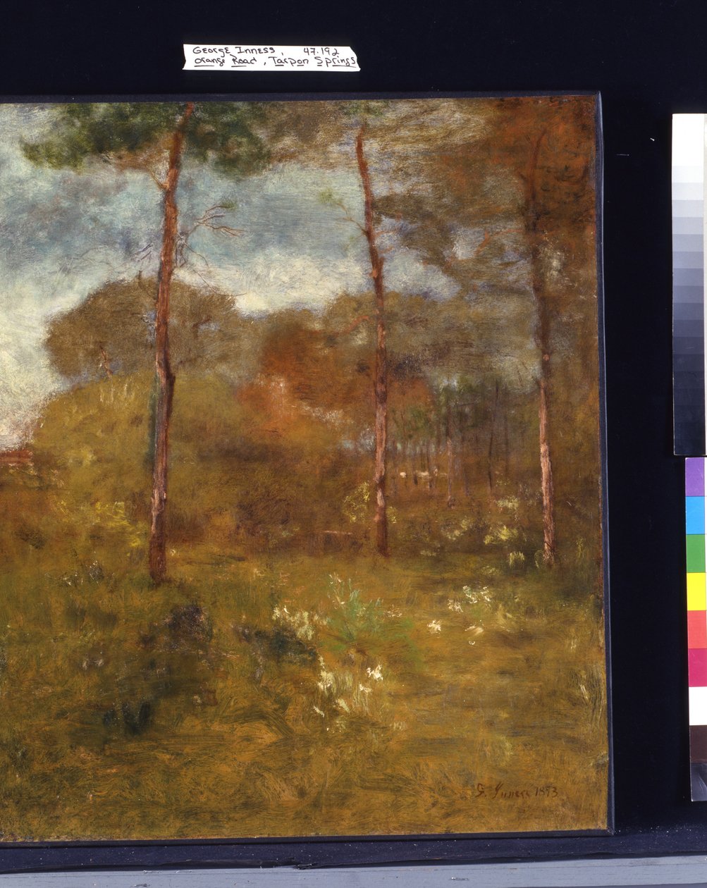 Orange Road, Tarpon Springs (olja på duk) av George Snr. Inness