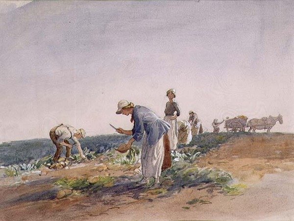 Rovan (akvarell och gouache) av George Soper