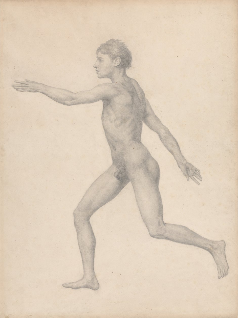 En jämförande anatomisk framställning av människokroppens struktur med den hos en tiger och en vanlig höna: Människofigur, sidovy, ograverad (Färdig studie för tabell VIII) av George Stubbs