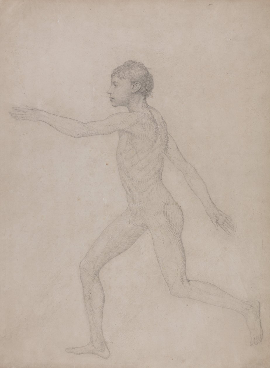En jämförande anatomisk framställning av människokroppens struktur med tigerns och den vanliga fågelns: Human Figure, Lateral View (Preliminärt utkast till den slutliga studien för tabell VIII) av George Stubbs