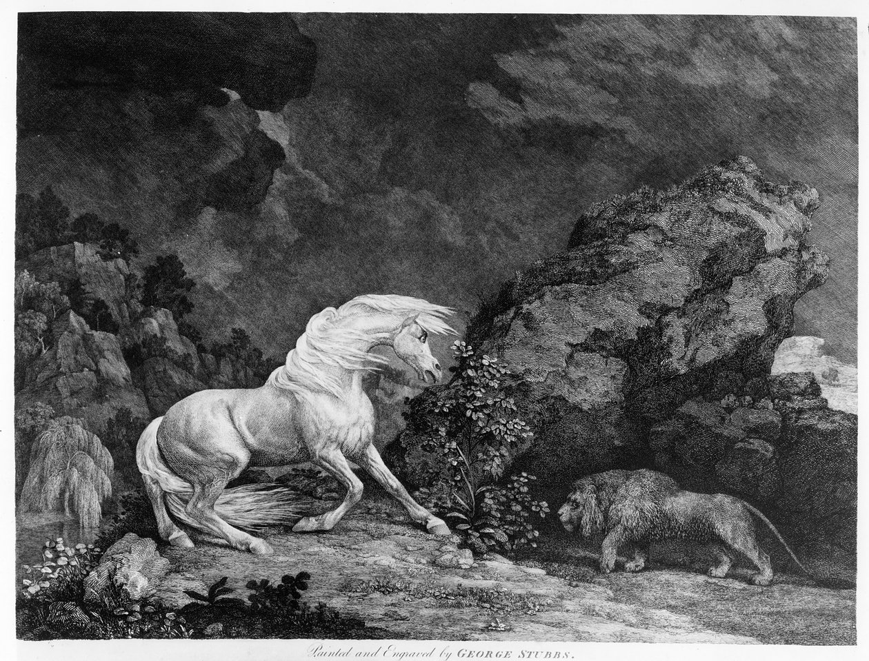 En häst som drabbas av ett lejon, graverad av konstnären, 1777 av George Stubbs