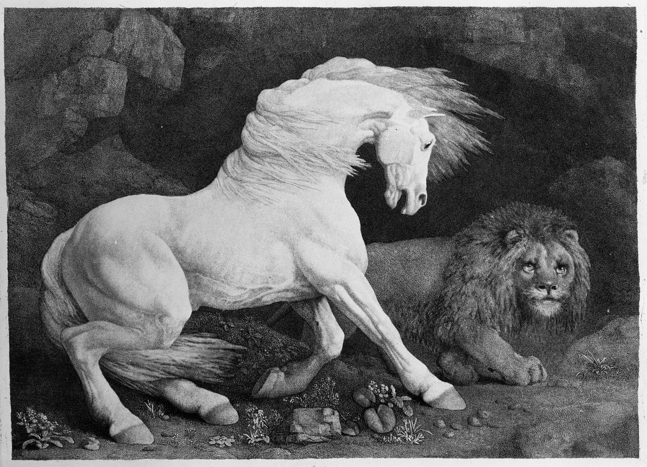 O se Solofanua ua Faafefe i le Leona, na togitogia e le tusiata, 1788 swed av George Stubbs