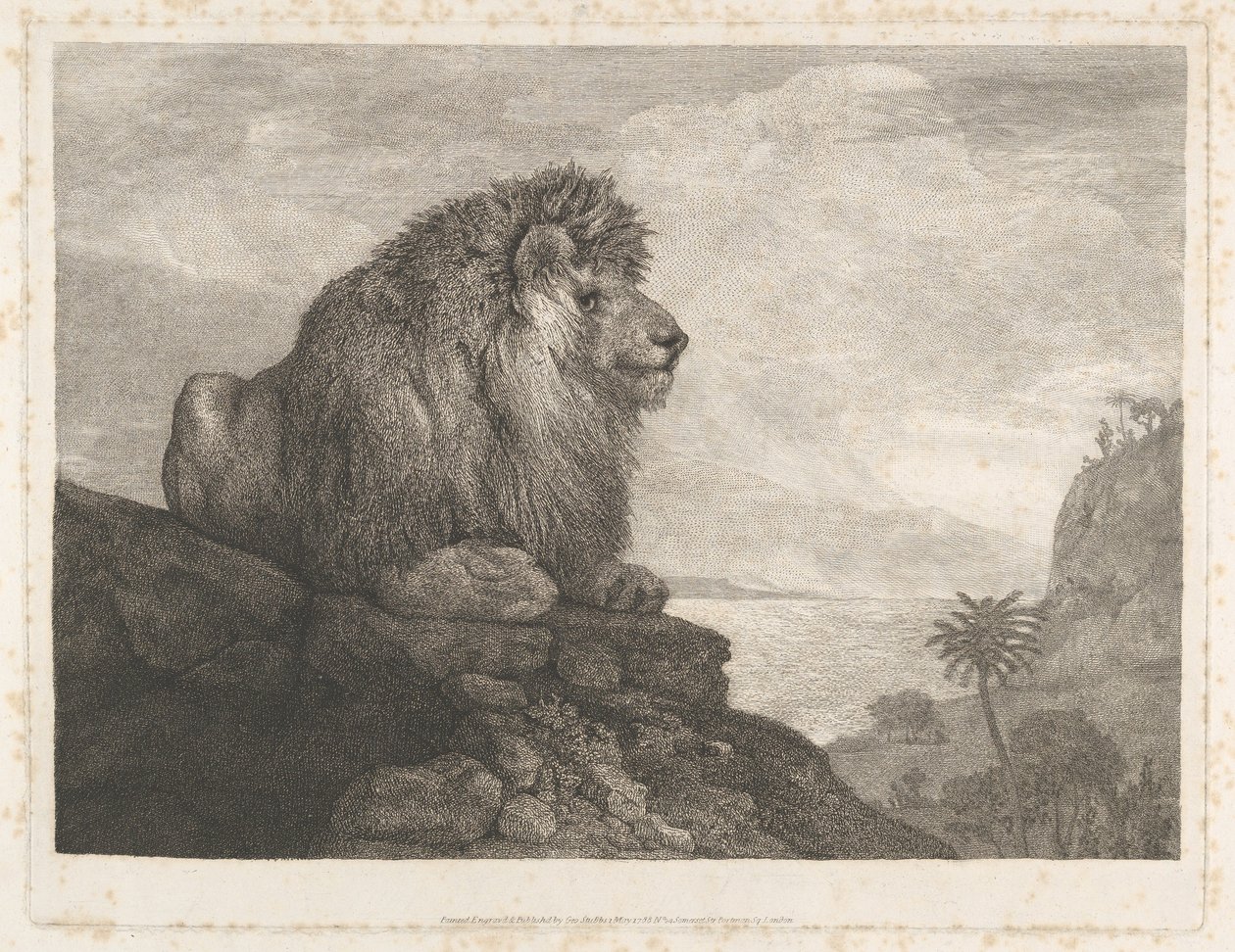 Ett lejon (ett lejon som vilar på en klippa) av George Stubbs