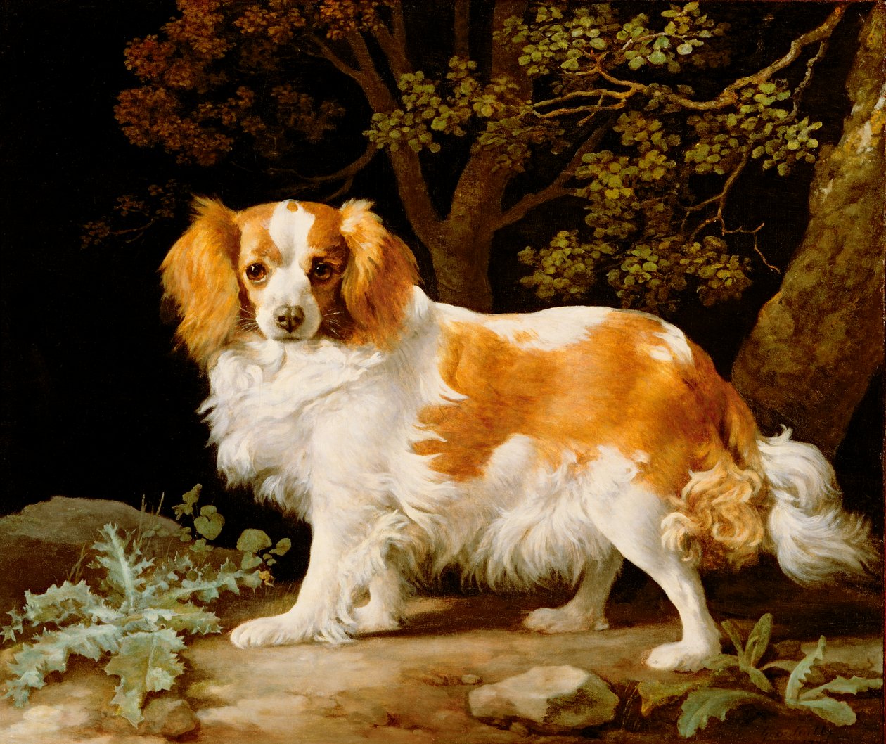 En lever och vit King Charles Spaniel i ett skogslandskap av George Stubbs