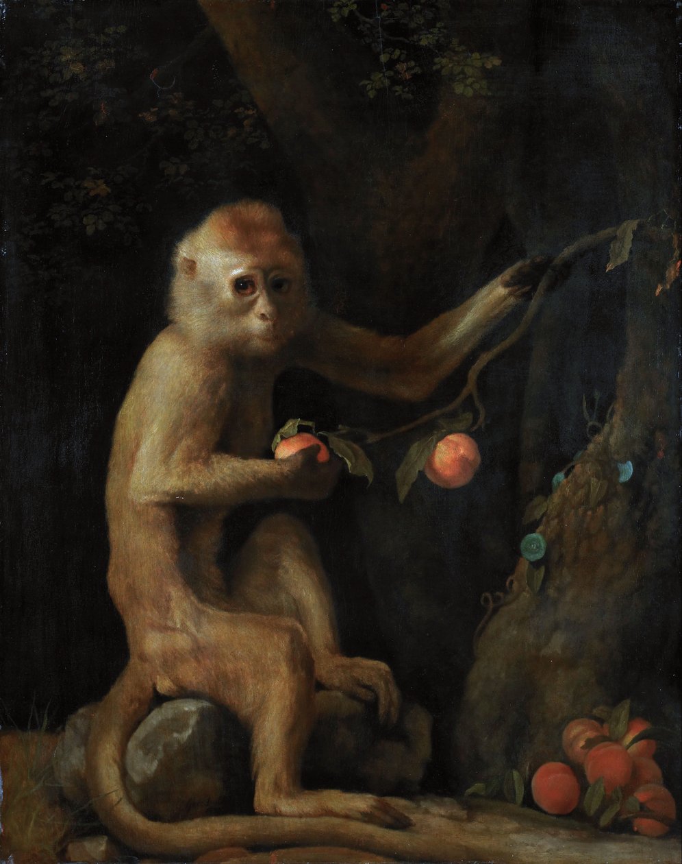 En apa av George Stubbs