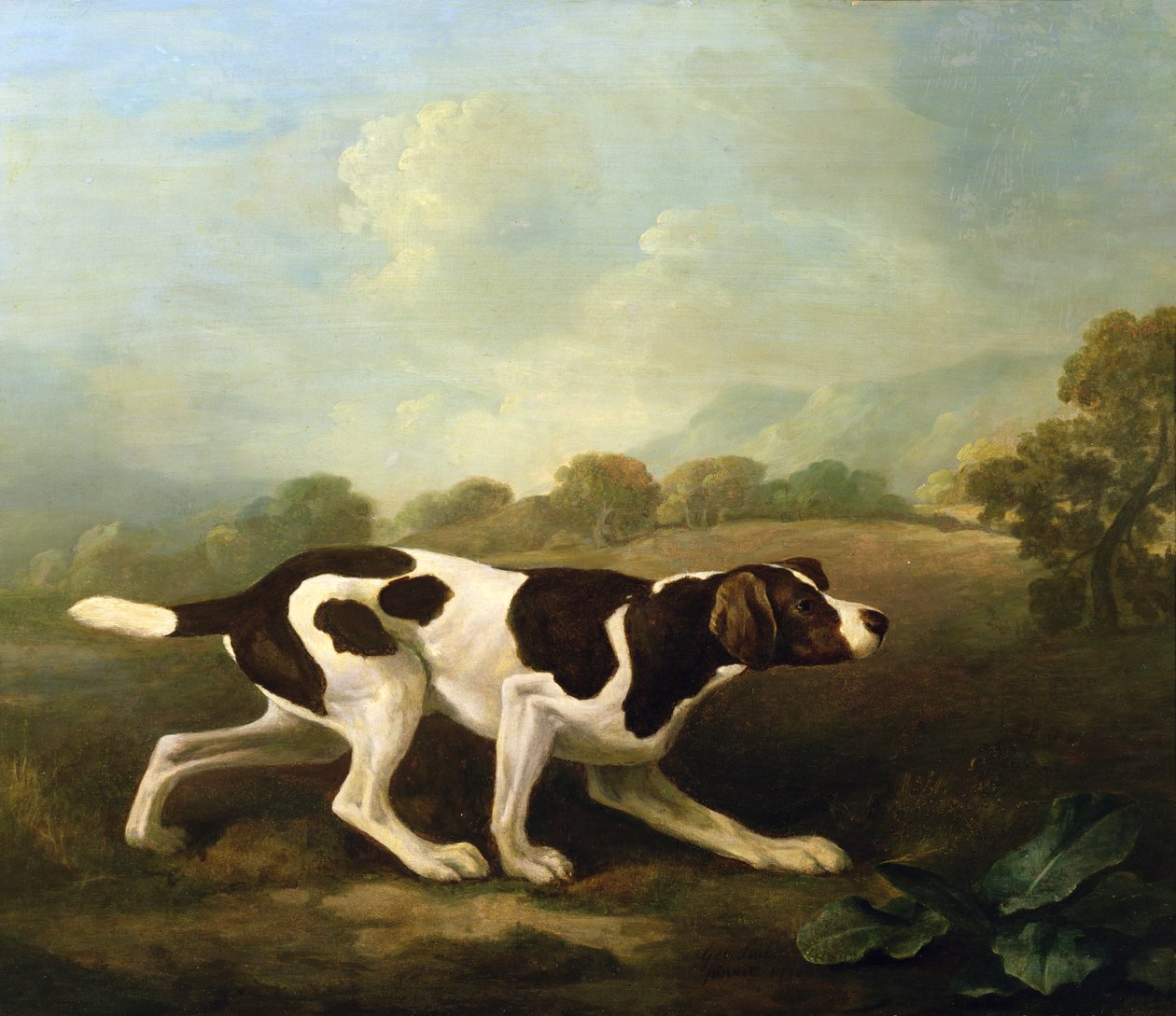 A Pointer (olja på duk) (för par se 266117) av George Stubbs