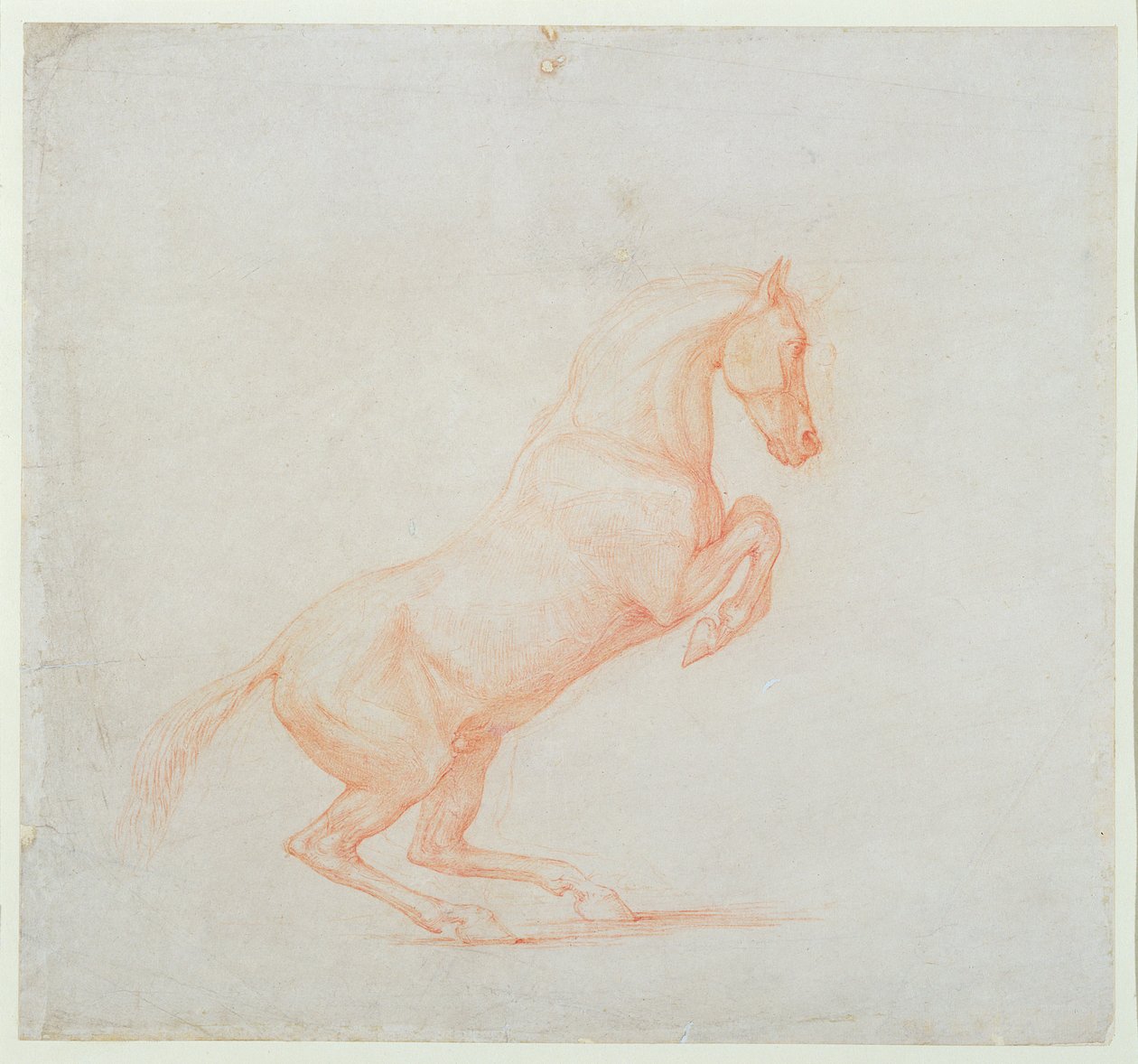 En häst som dansar till höger, 1790 (rödkrita på papper) av George Stubbs