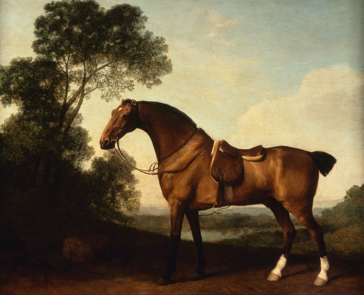 En sadlad Bay Hunter av George Stubbs