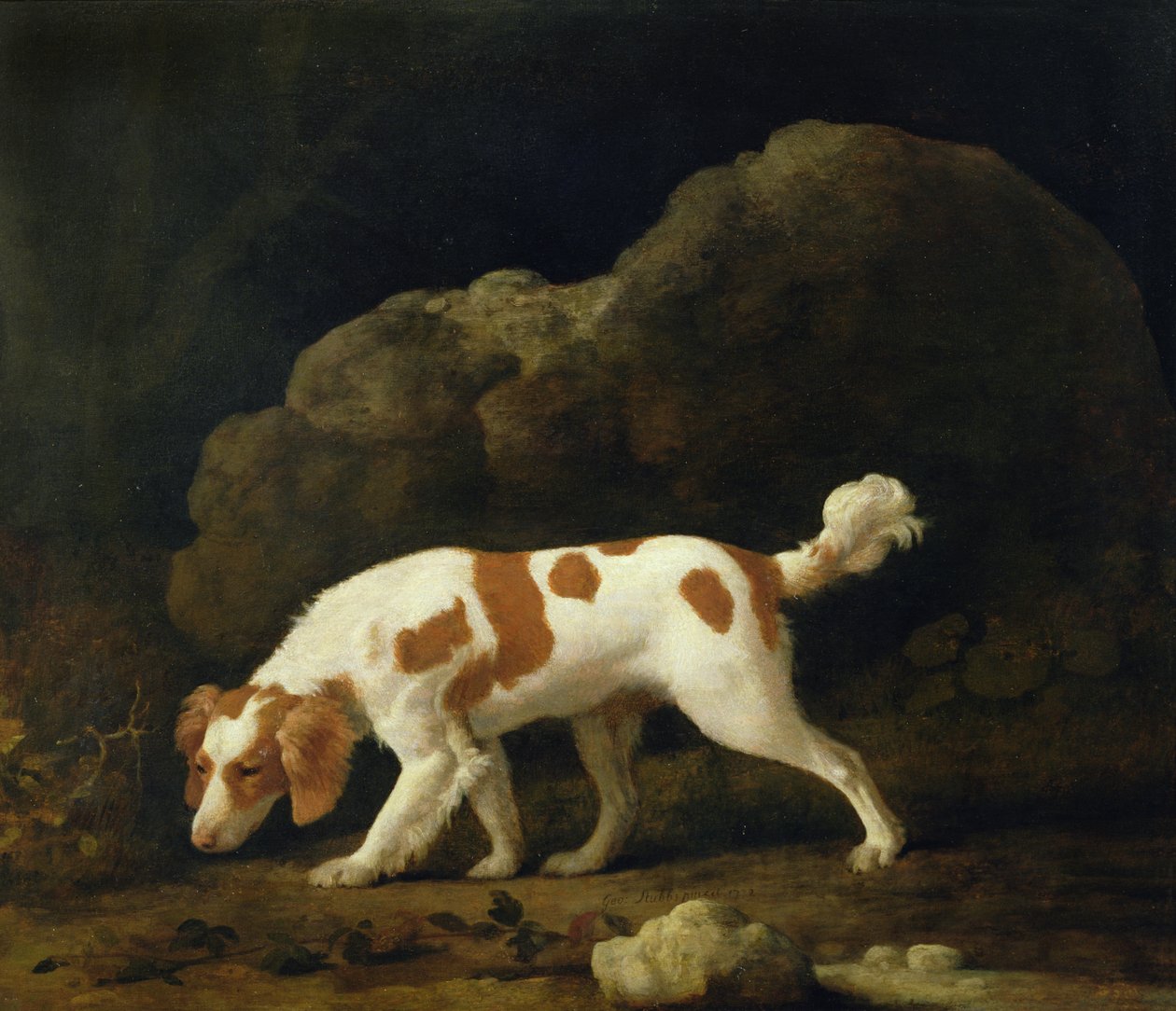 En spaniel (olja på duk) (för par se 266116) av George Stubbs