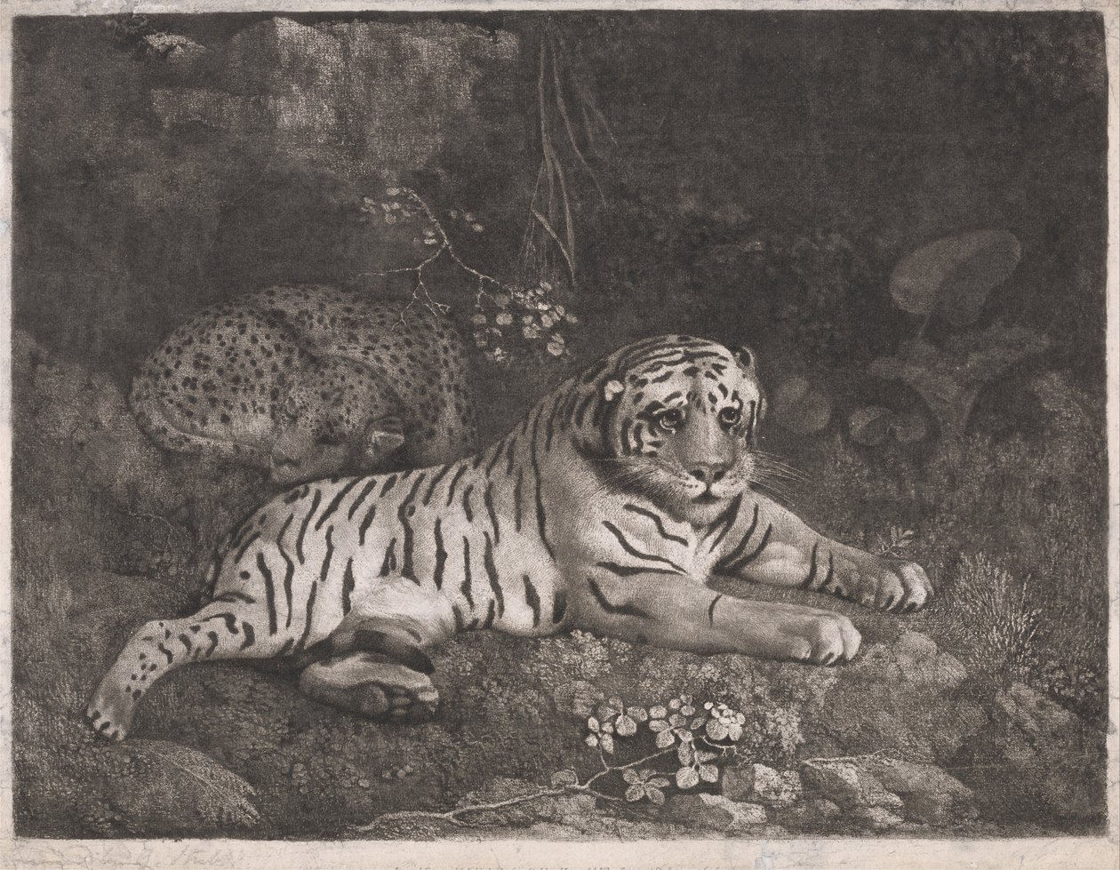 En tiger och en sovande leopard av George Stubbs