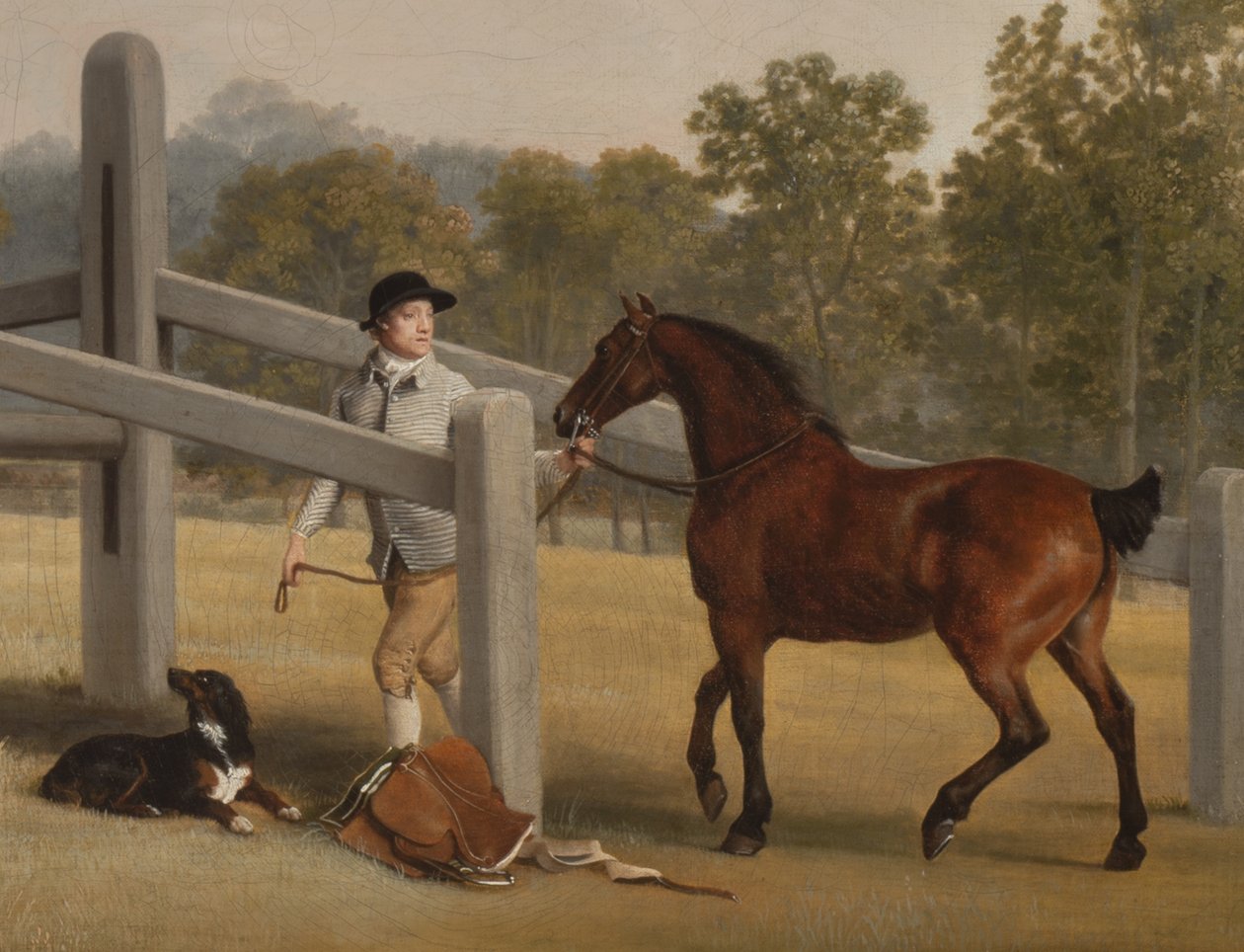 Detalj från William Henry Cavendish-Bentinck, 3:e hertig av Portland och hans yngre bror Lord Edward, 1767-68 (detalj av 3089923) av George Stubbs