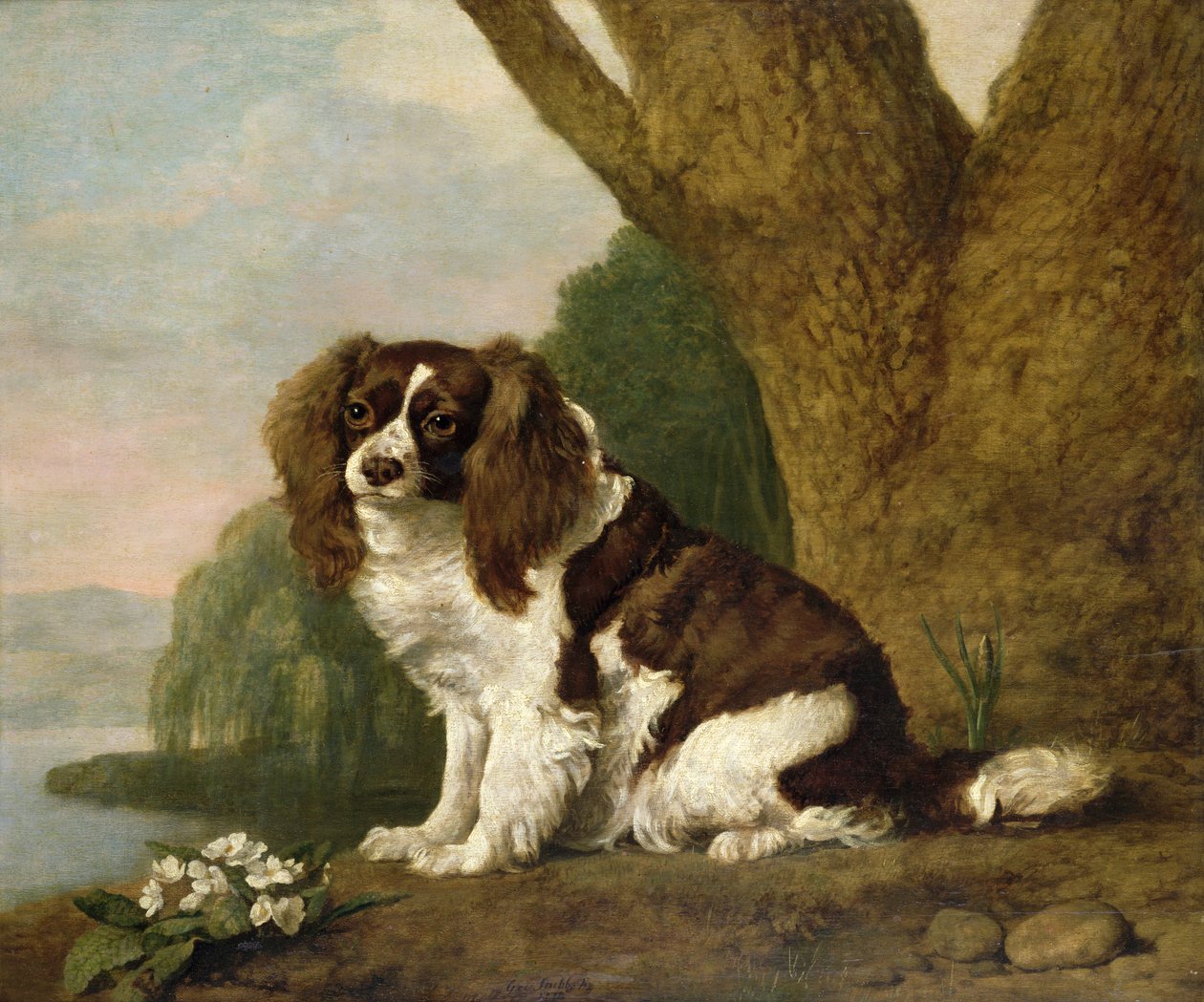 Fanny, en brun och vit spaniel av George Stubbs