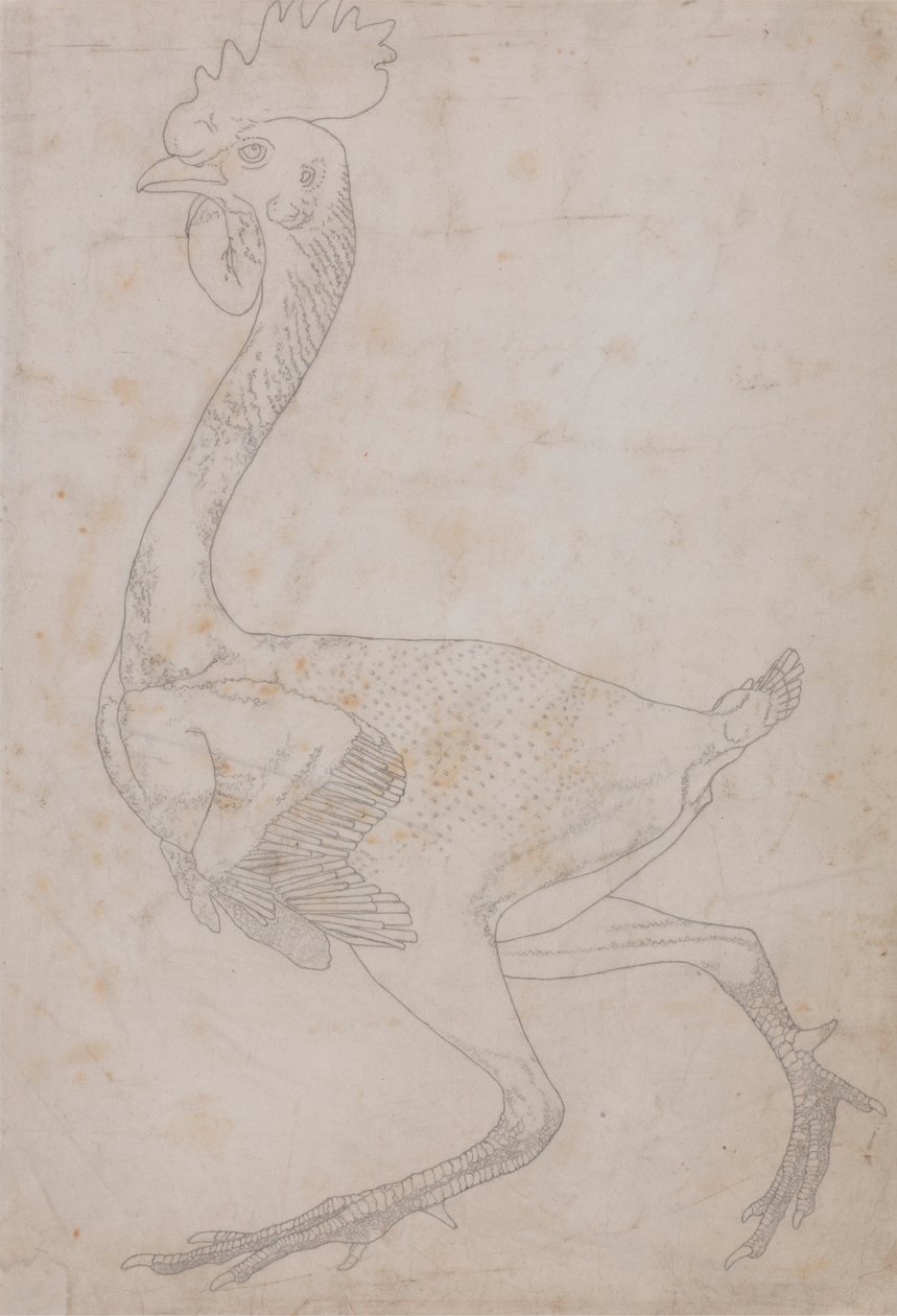 Hönskropp, sidovy (troligen förberedd för överföring till plattan för gravering av nyckelfiguren i tabell X) av George Stubbs