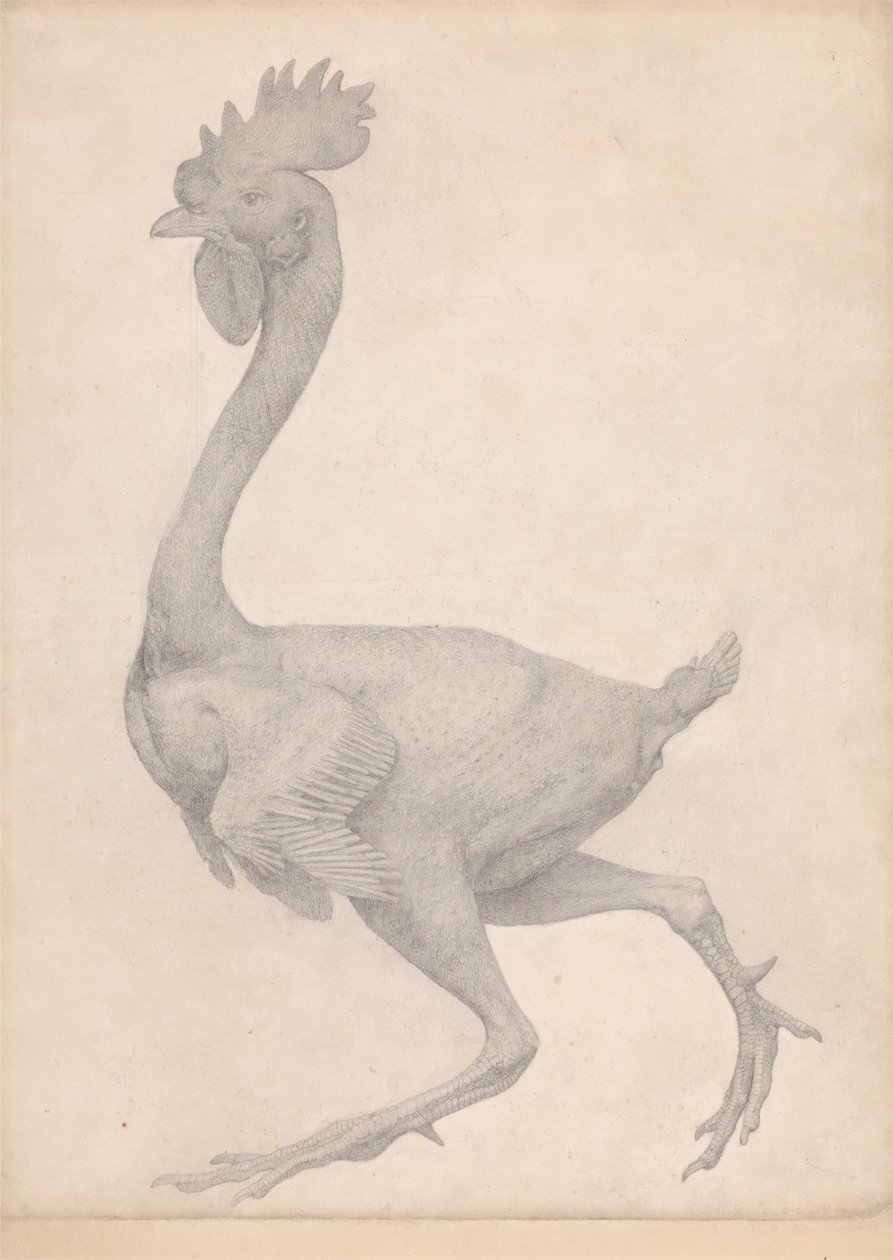 Fågel, sidovy med de flesta fjädrarna borttagna (avslutad studie för tabell X) av George Stubbs