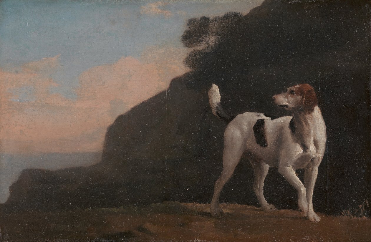 Foxhound, En Foxhound, ca. 1760. av George Stubbs