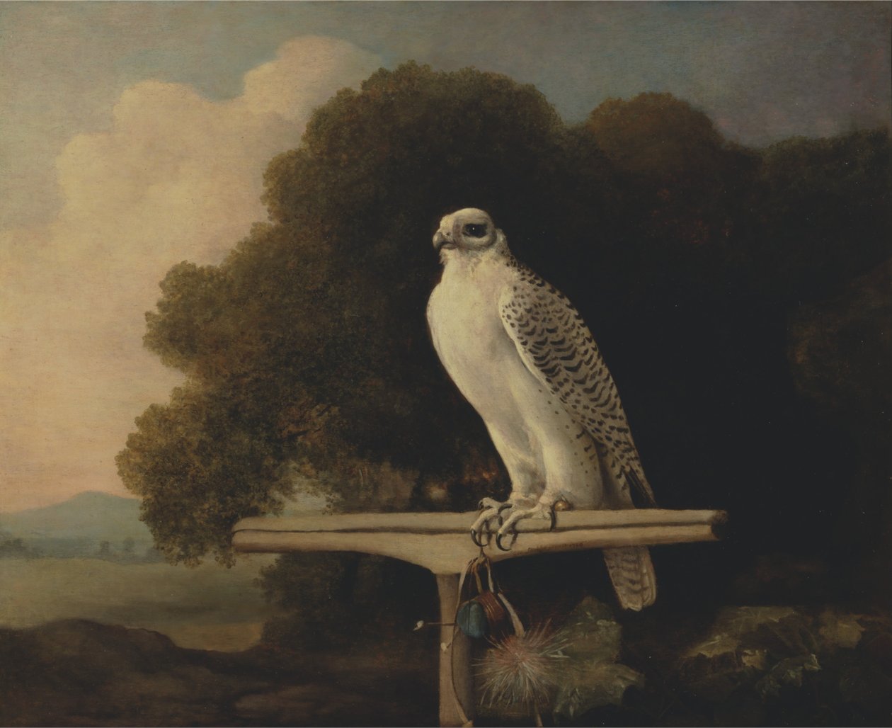 Grönlandsfalk av George Stubbs