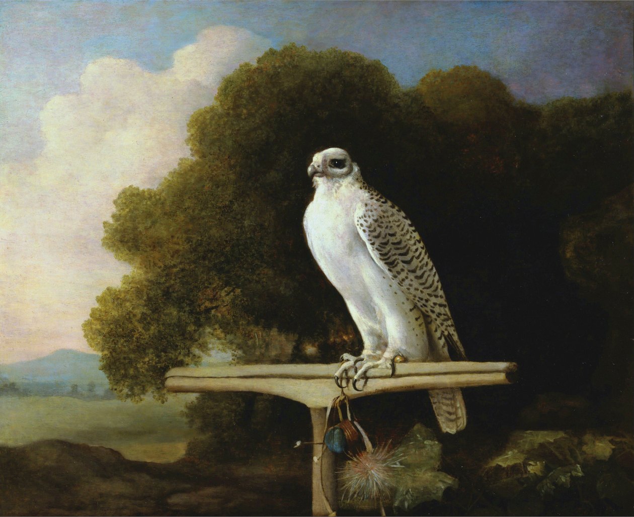 Grönlandsfalk av George Stubbs