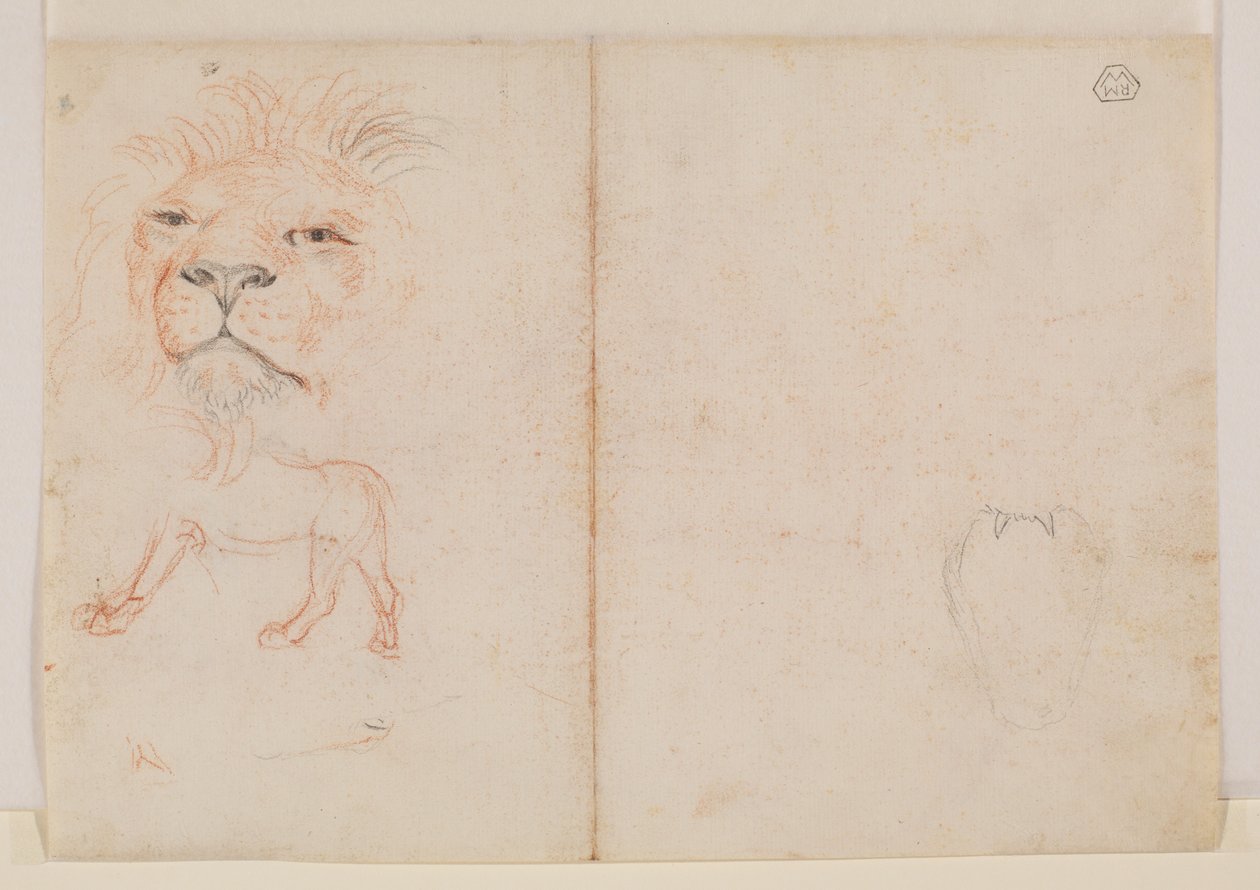 Huvud av ett lejon, tergo, 1700- eller 1800-tal av George Stubbs