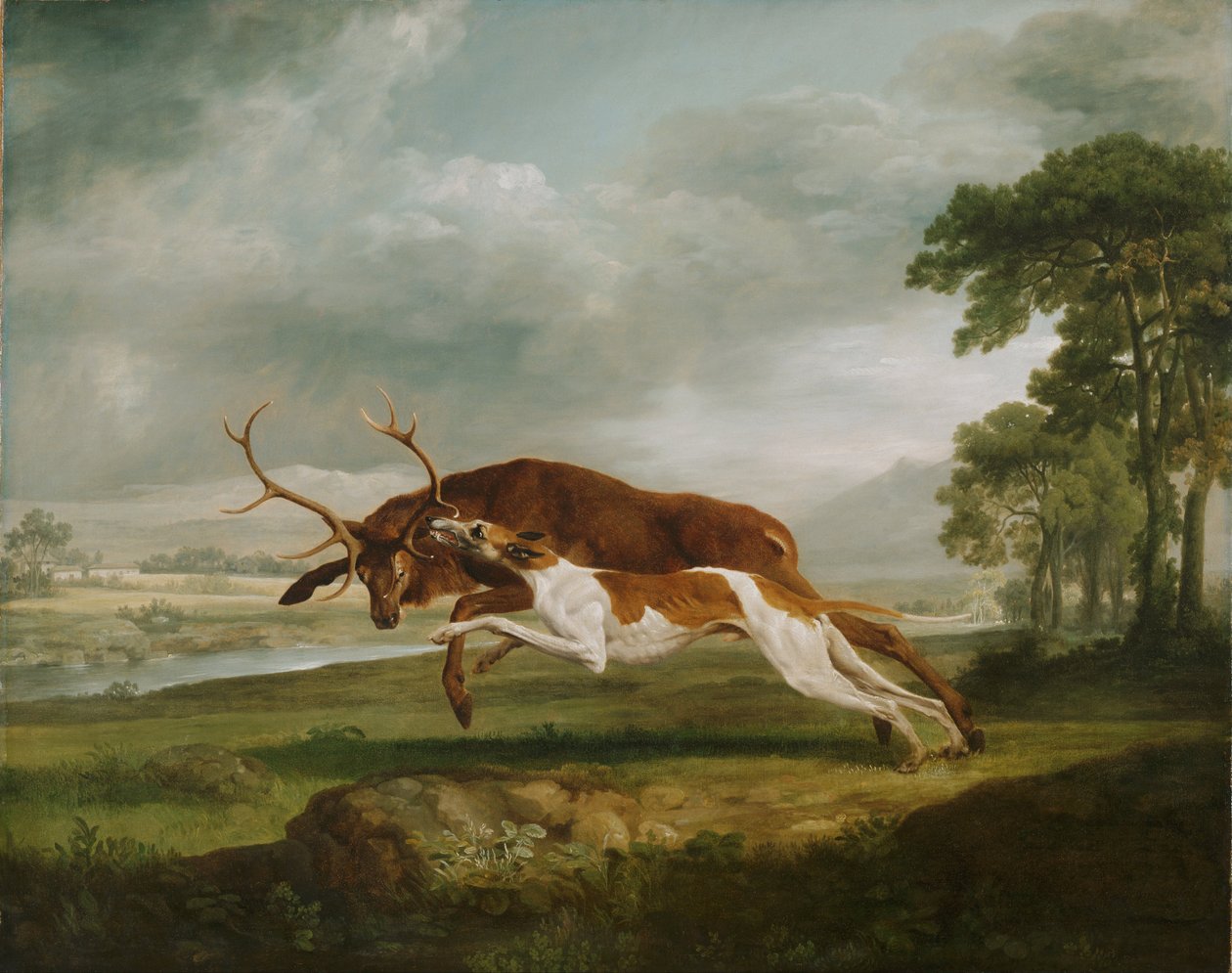 Hund som jagar en hjort av George Stubbs
