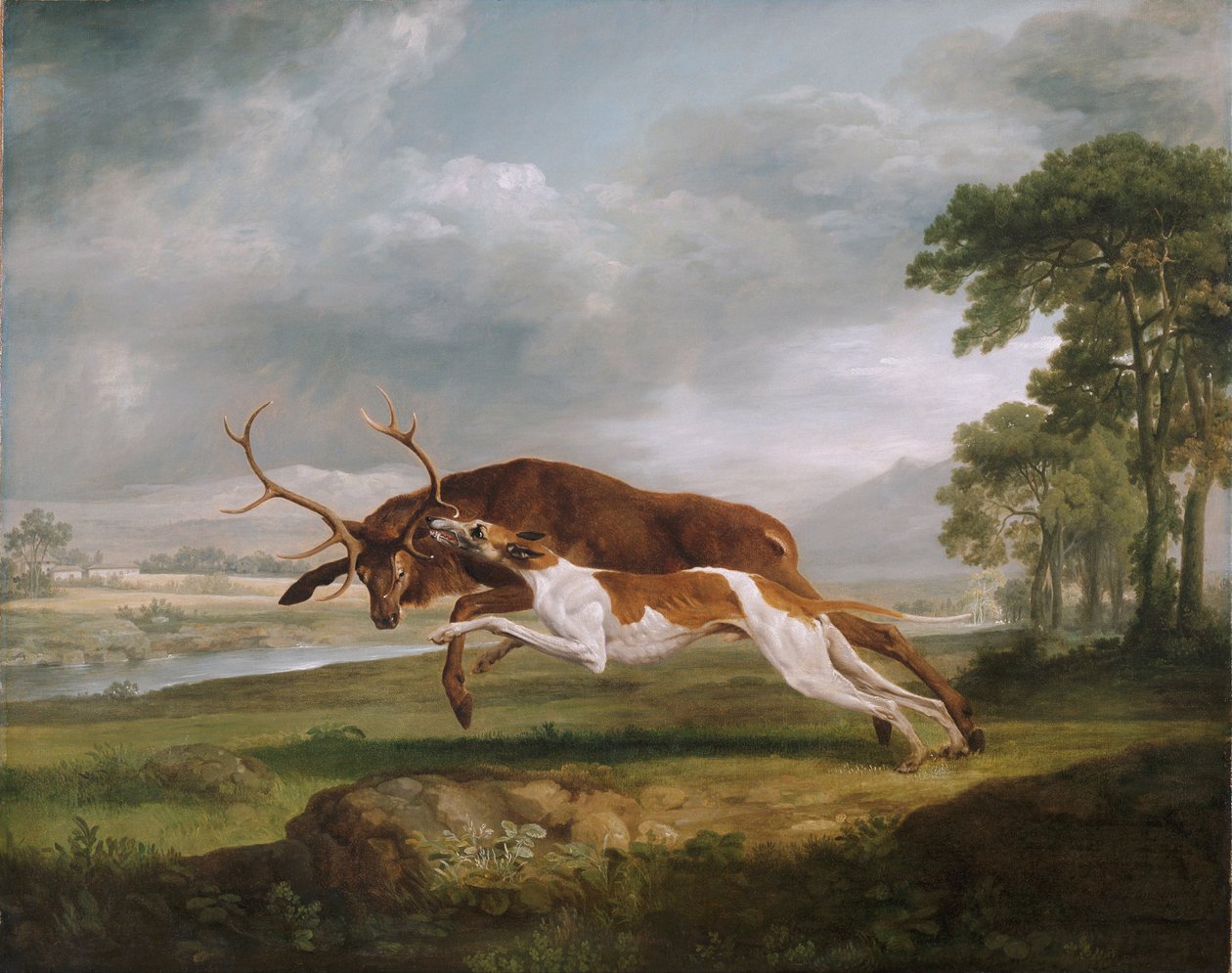Hound Coursing en hjort av George Stubbs