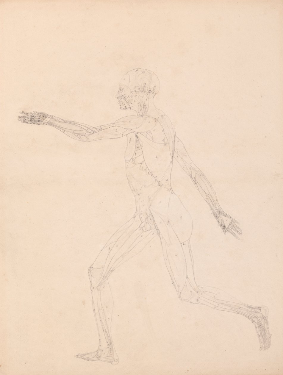swedish av George Stubbs