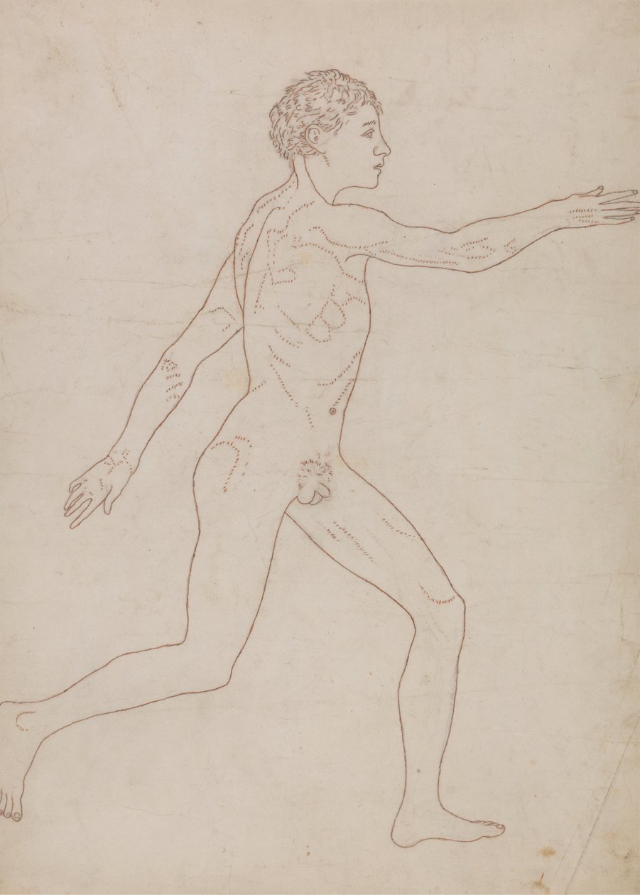 Människofigur, sidovy (översiktsstudie i omvänd tabell VIII) av George Stubbs