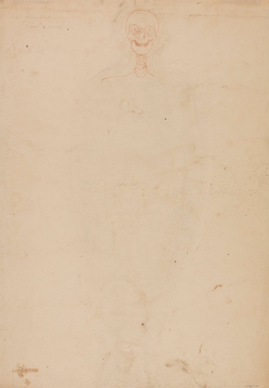 Mänskligt skelett, framifrån av George Stubbs