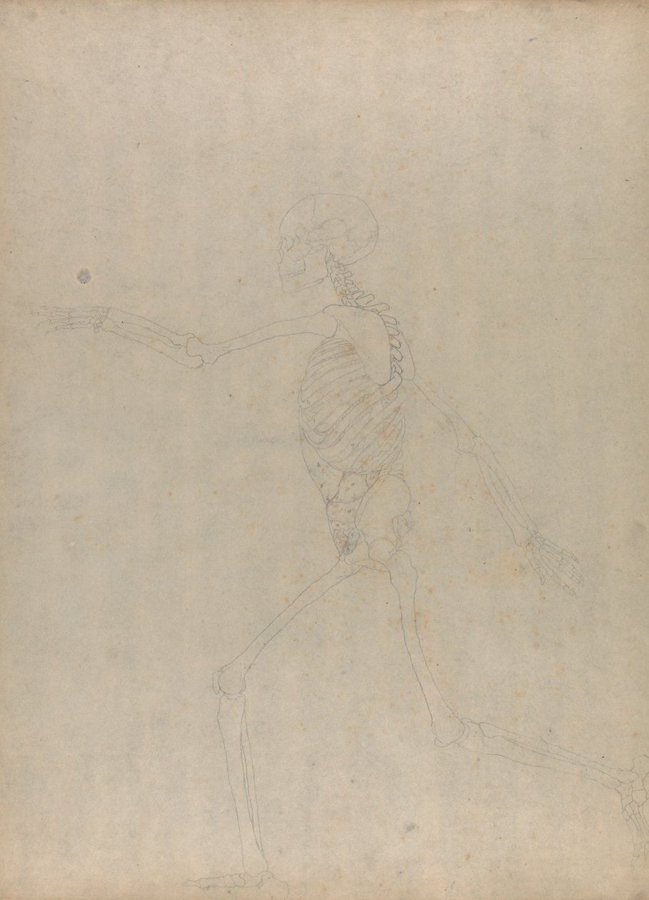 swedish av George Stubbs