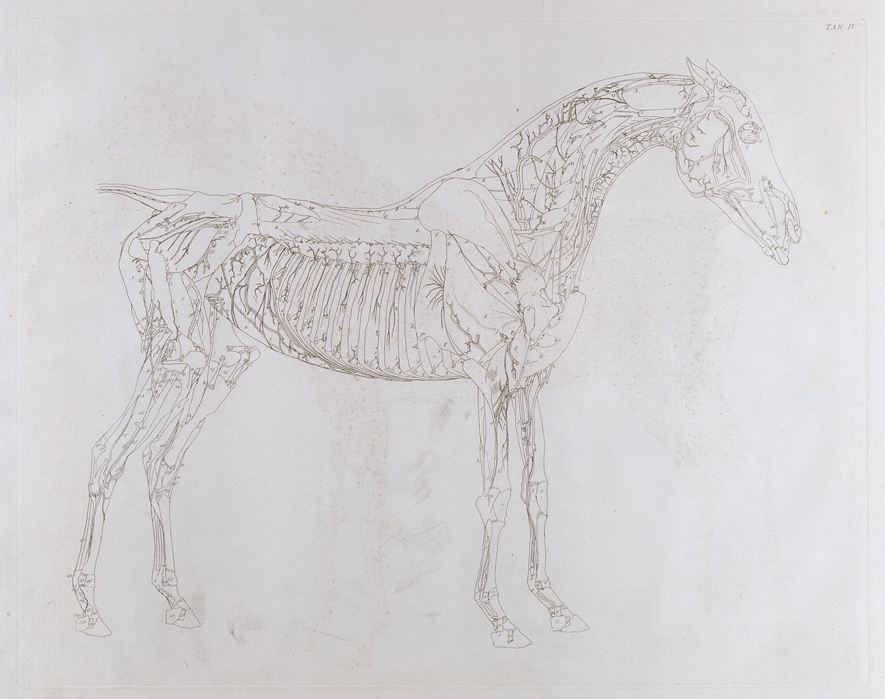 Illustration från 