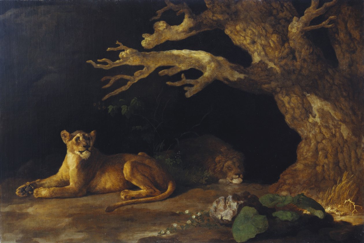 Lejoninnan och grottan av George Stubbs