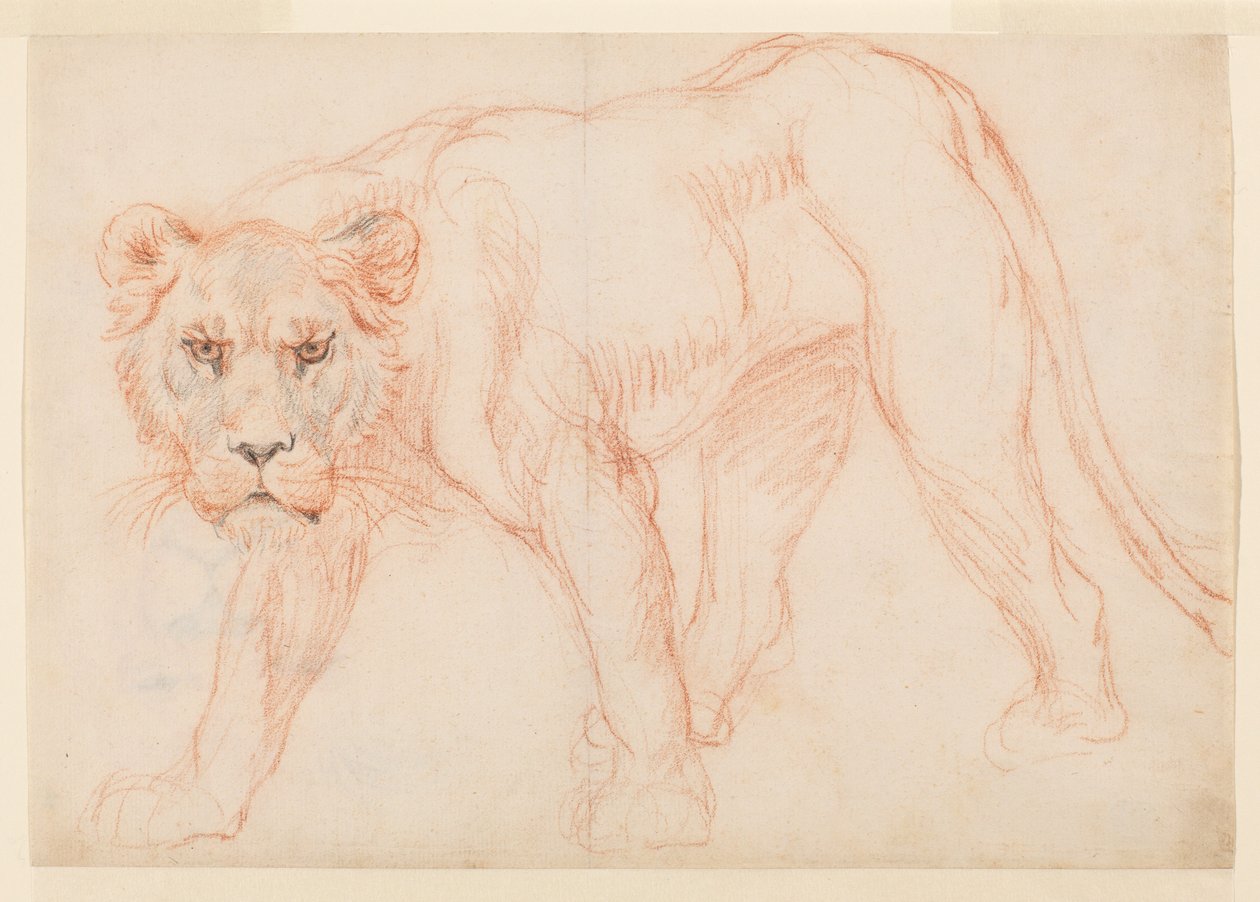 Lioness prowling, recto, 1700- eller 1800-tal av George Stubbs