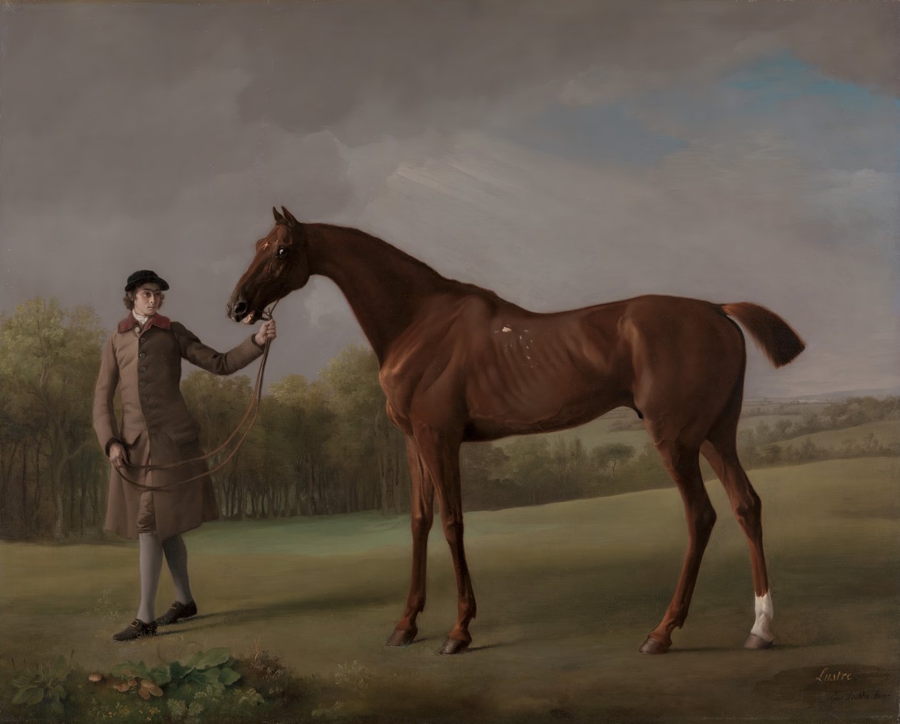 Lustre, hållen av en brudgum, ca. 1762. av George Stubbs