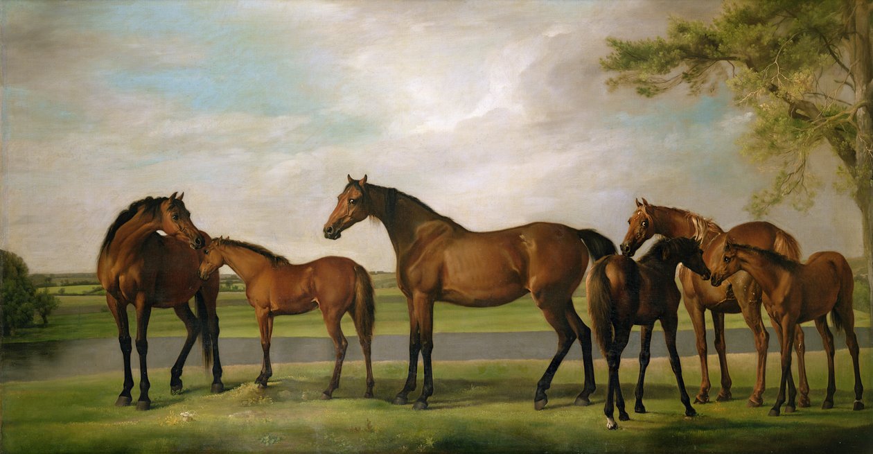 Ston och föl störda av en annalkande storm, 1764-66 av George Stubbs