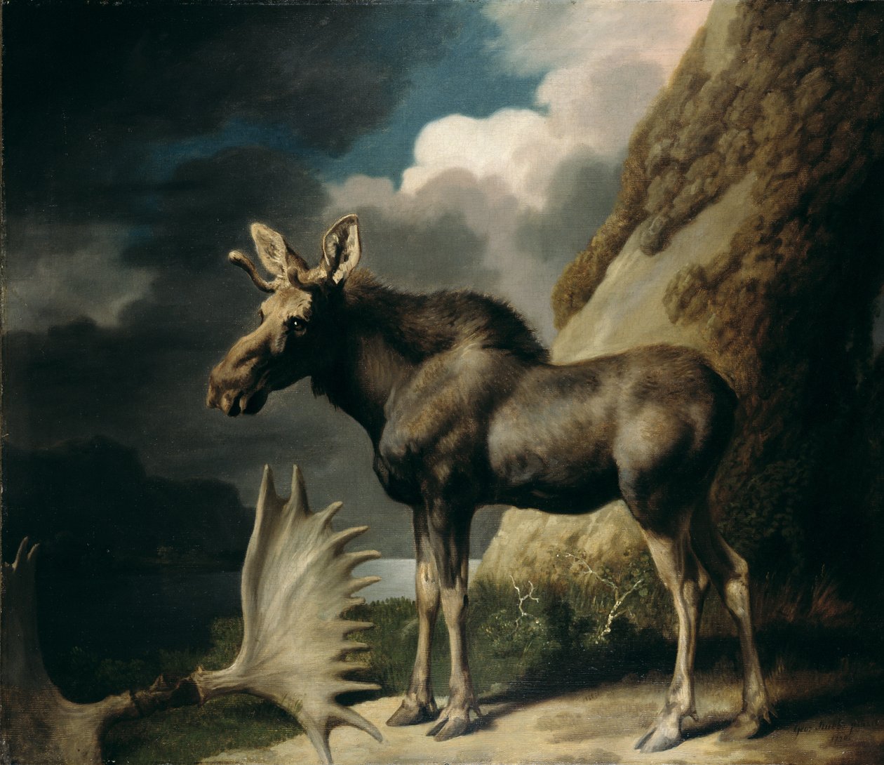 Älg, 1770 av George Stubbs