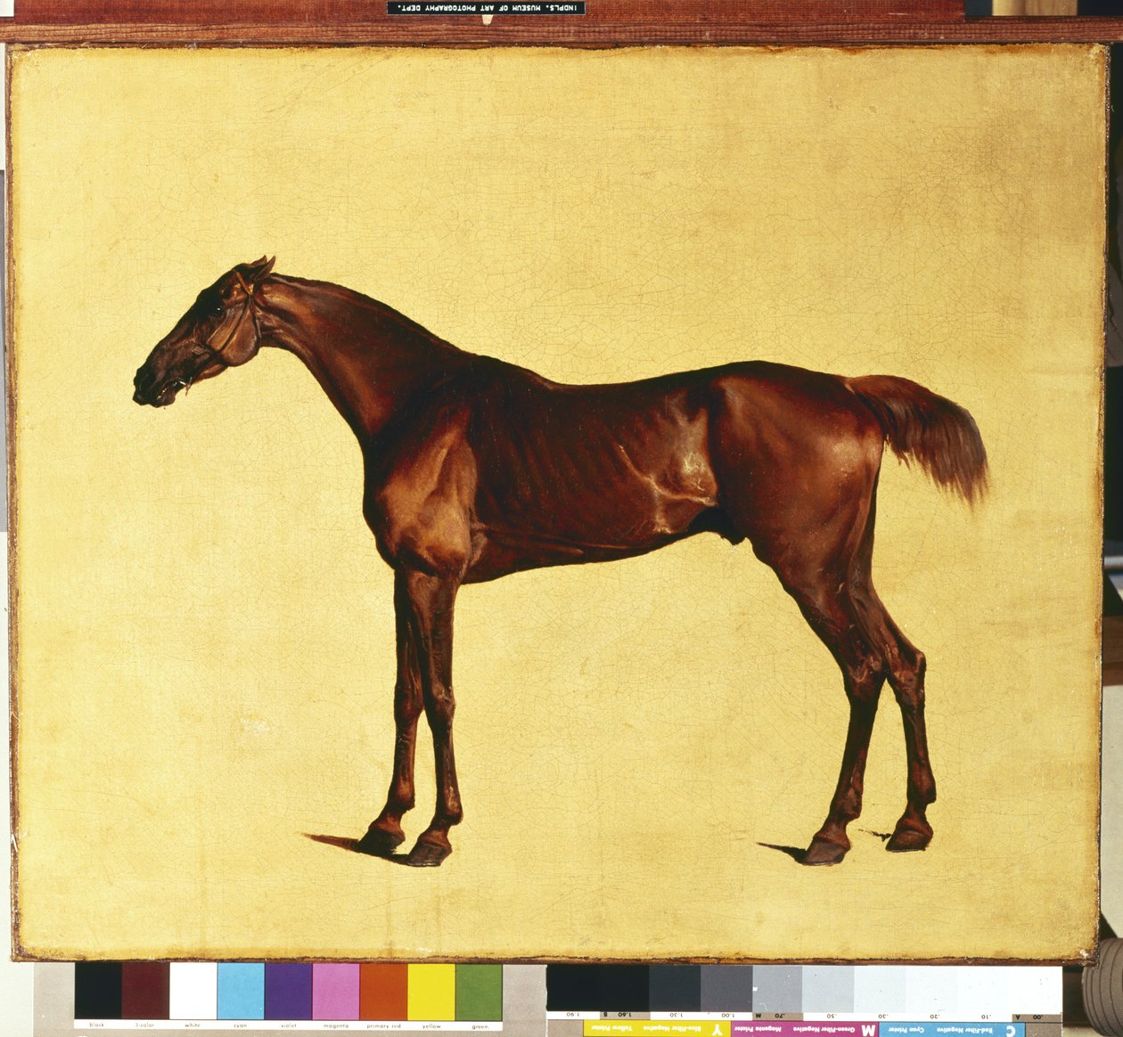 Pangloss (olja på duk) av George Stubbs